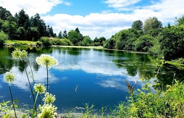 Portland, OR - Beautiful lake view in summer at Commonwealth Park