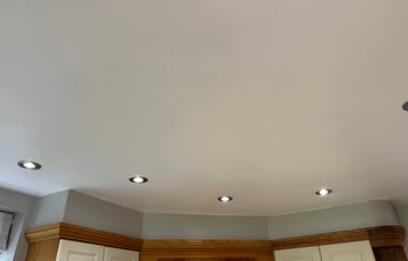 Kitchen Fire Rated Downlights