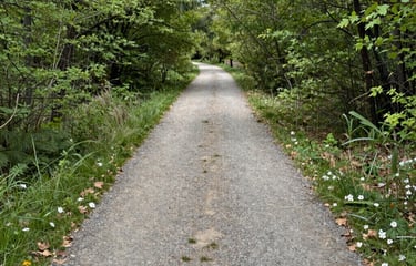 A Supportive Path to Relief
