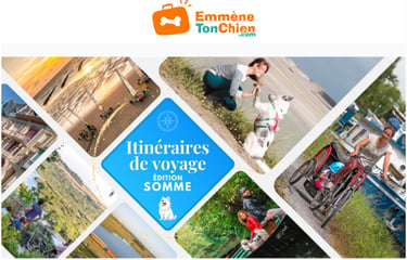 emmene ton chien