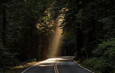 a road with a sunbeamed light shining through the trees