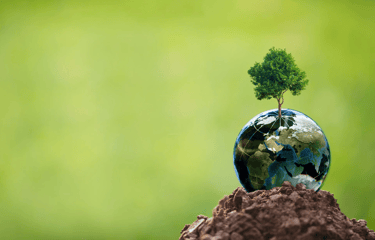 Integrix CSR initiatives – engaging in charity, community support, and environmental responsibility