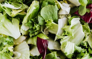 Critiqonet Article on Alkaline Diet