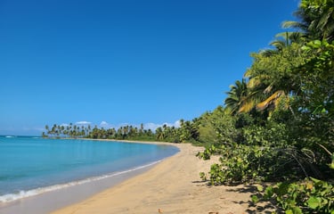 Miches , playas vírgenes 