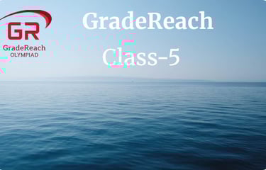 Olympiad for class 5