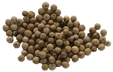 White peppercorns
