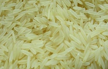IRRI-9 long grain white rice, high yield, versatile for everyday dishes