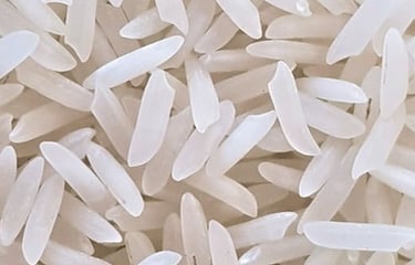 PK 386 long grain white rice, slender grains, aromatic and ideal for pulao