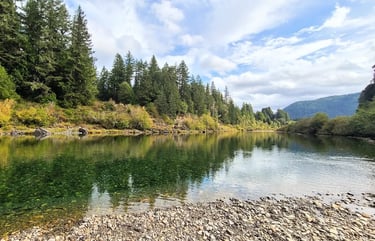 CA Coast - Emerald waters of Smith River running thru Jedediah Smith Redwood Park, Stout Grove Trail