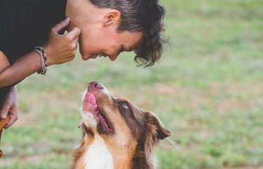 eleducane_rapporto_cane_brescia