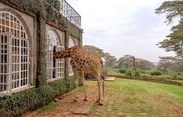 Giraffe Manor Kenya