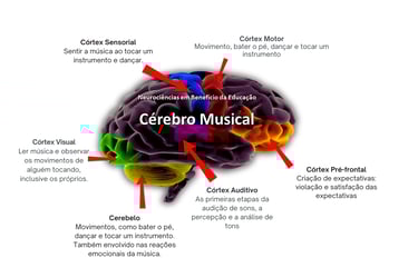 Visual image of the study with and explanation of study 2