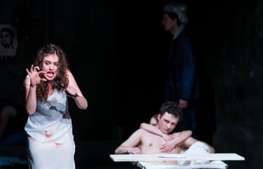 Dominika Lichy | Marat/Sade | reż. R. Zioło