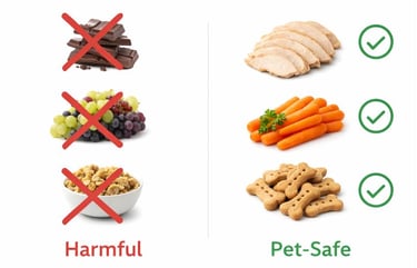 Holiday foods pets should avoid.