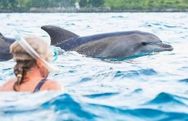 Guest snorkeling and swimming with dolphins during a Mnemba Island Zanzibar day tour