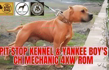 Pit Stop Kennel & Yankee Boy's Ch Mechanic ROM - pitbull history