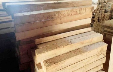 Front view of Indian Sal Wood (Shorea robusta) cut-size timber planks for global export.