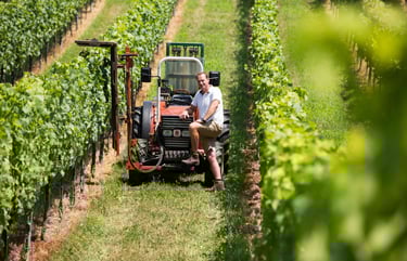 Mann mit Traktor im Weingarten