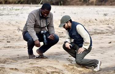 The Lion Team looking for tracks