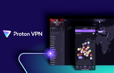 Proton, Proton VPN, Proton VPN for Business