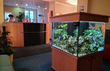 Hausarzt Knauf Praxis Freiberg