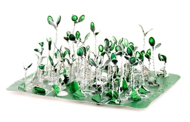 Wire Seedlings 