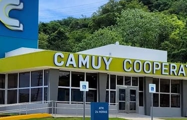 CAMUY Cooperativa, CDCG client case study