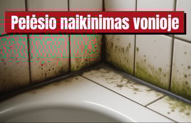 pelėsio šalinimas vonios kambaryje, pelėsio valymas nuo plytelių siūlių, pelėsio naikinimas vonios