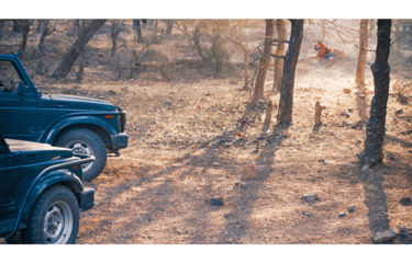 jeep in ranthambore national park
