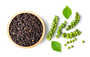 fresh and dry peppercorn with leaf isolated on white background. top view
