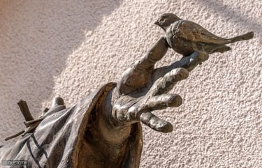 Close-up of Saint Francis’s hand gently holding birds, representing his compassion for all creatures.