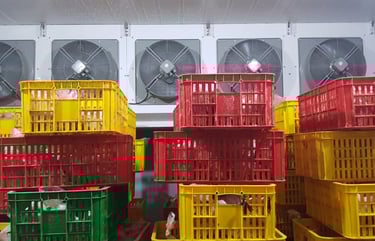 Air Blast Freezer ROCKET CHICKEN - Salatiga by CV MUDACOOL INDONESIA