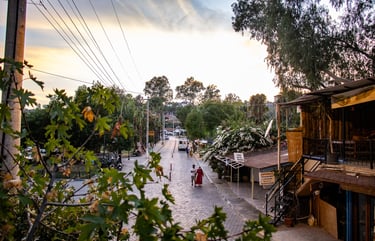 Gelemiş