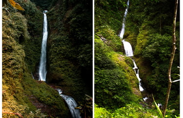 Tam Falls