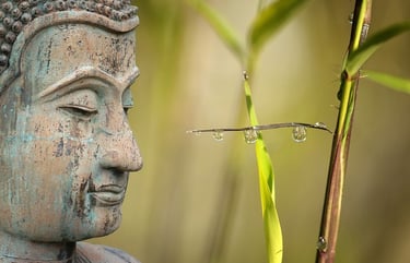 relations apaisées-trouver ressources et force de vie-surmonter problèmes et deuil et séparation