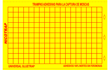 placas adhesivas para la captura de moscas en amarillo