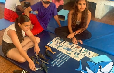 Un groupe d'adolescent avec la boite à requins