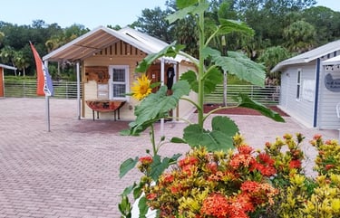 Outside of Cottage 3, Tumbleweed Guitar International Headquarters showroom. Riverside Park, Bonita 