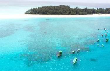 Scenic view of Mnemba Island Zanzibar, known as a top spot for snorkeling and swimming with dolphins