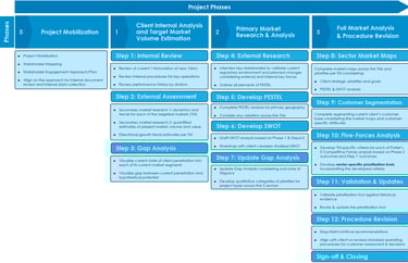 Sample strategy review project plan