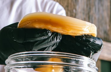 kombucha artigianale siciliana