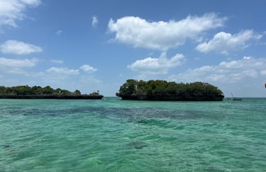 Scenic view of rocks with tropical trees growing in turquoise waters at Safari Blue Zanzibar, perfect for snorkeling 