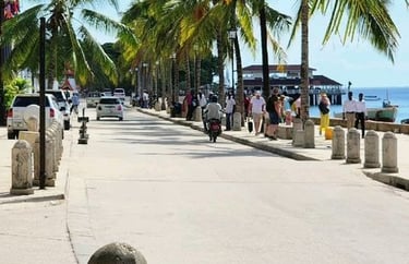Scenic view of Forodhani waterfront walking path in Zanzibar