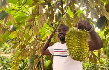 Zanzibar spice tour guide holding fresh durian fruit from the tree – tropical fruit experience in Tanzania