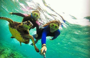 Tourists swimming and taking a selfie with a sea turtle during a Mnemba Island Zanzibar snorkeling tour