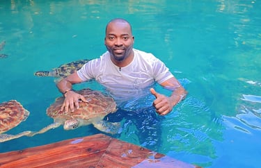 Explore Zanzibar’s marine life and interact with sea turtles for an unforgettable adventure