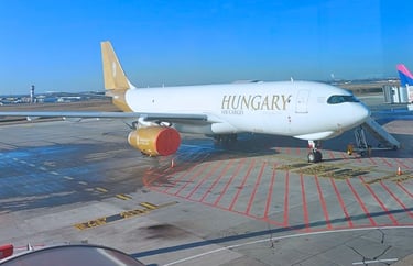 Flughafen Budapest (Ferenc Liszt)