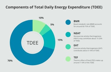 a pie chart of total daily energy expenditure TDEE