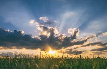 the sun is setting over a field of grass
