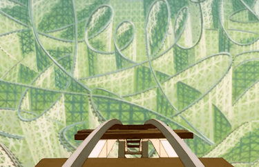 Roller Coaster or Roll Cage?